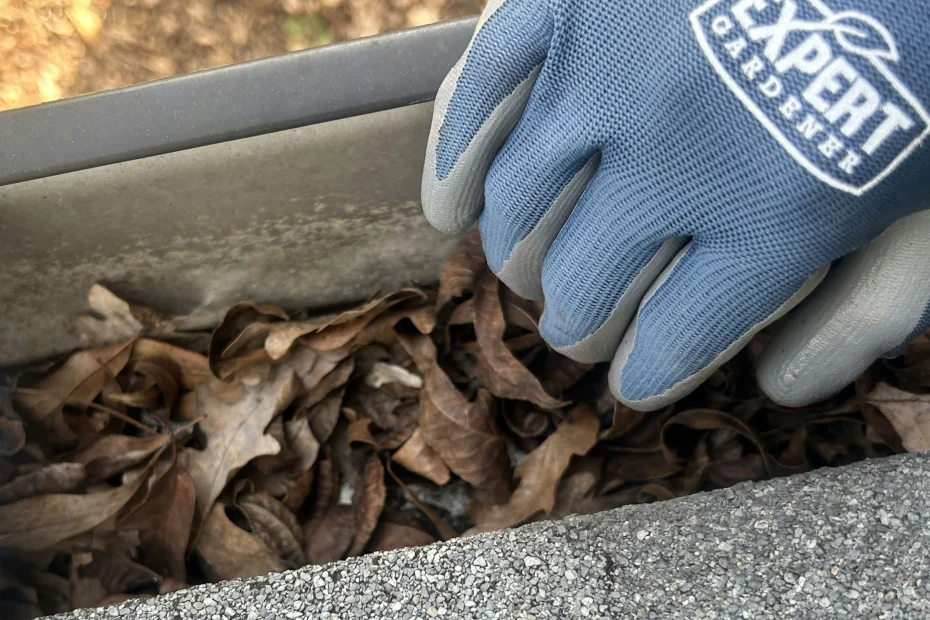 Gutter Cleaning Wyandotte