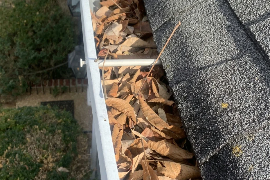 Gutter Cleaning Wyandotte