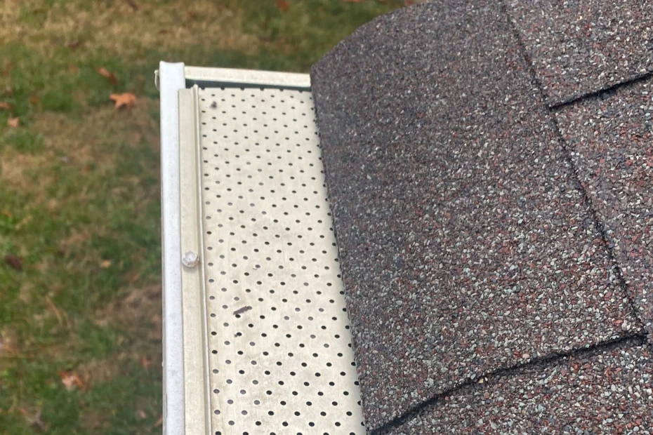 Gutter Cleaning Wyandotte