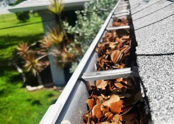 Gutter Cleaning Wyandotte home page